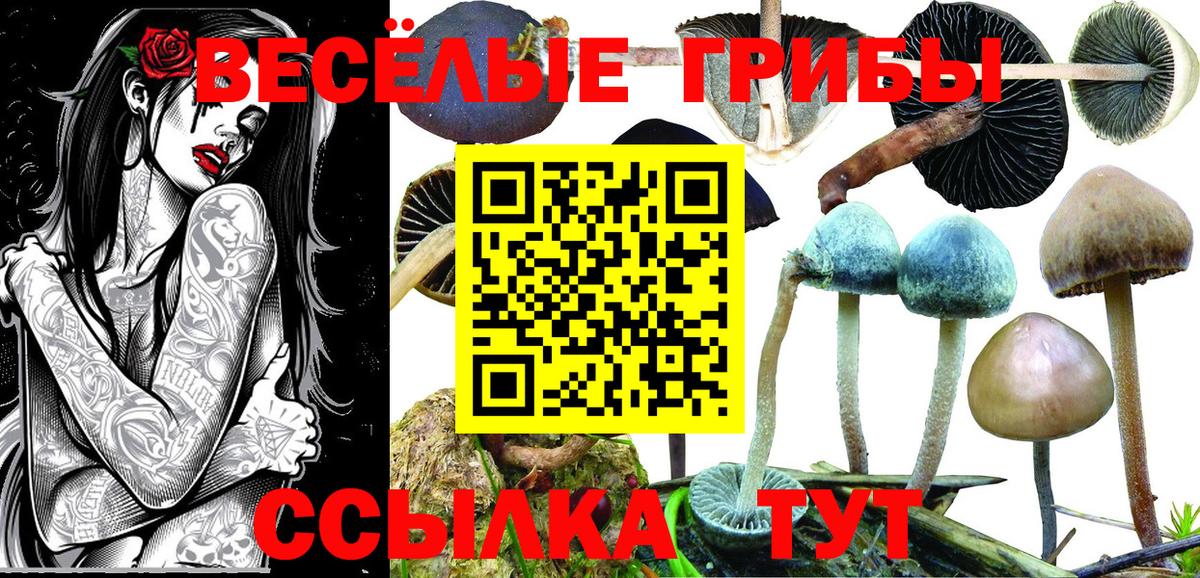 Шатура  продажа наркотиков  Вход с VPN  Галлюциногенные грибы мицелий 