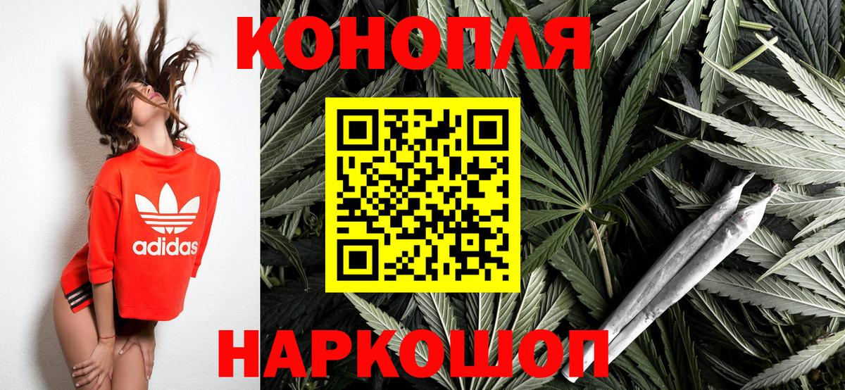 Шатура  Бошки марихуана тримм  Канабис планчик  Вход с VPN  МАРИХУАНА тримм  Шишки марихуана план 